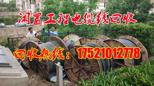上海